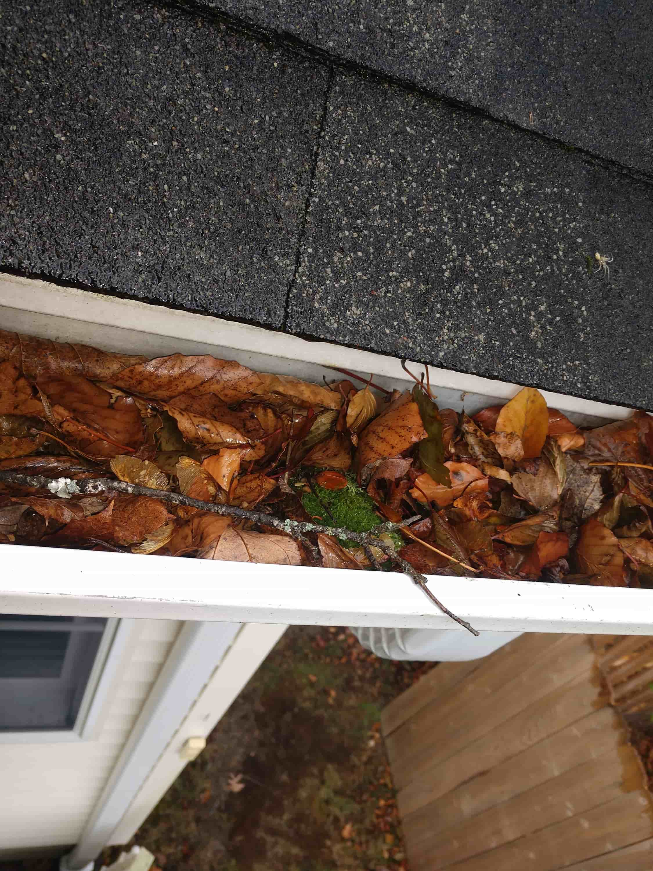 gutter cleaning rates