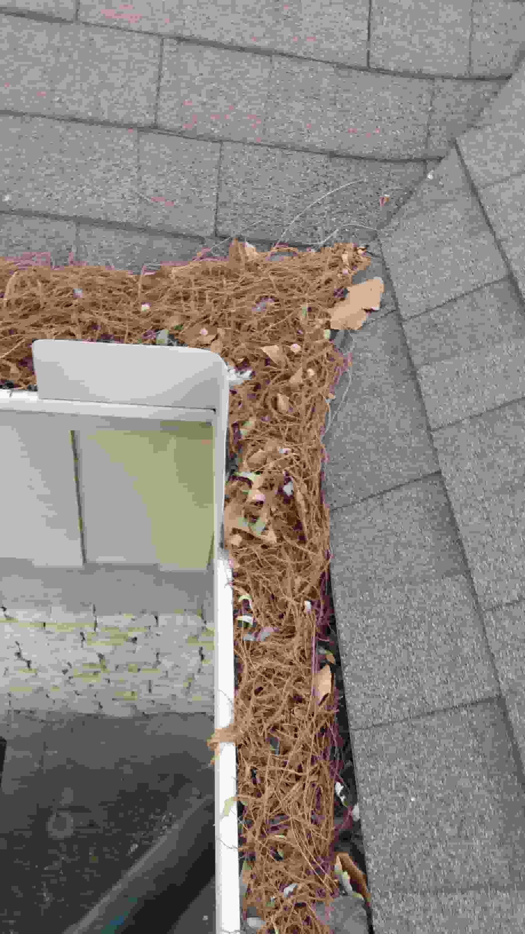 gutter downspout cleaning