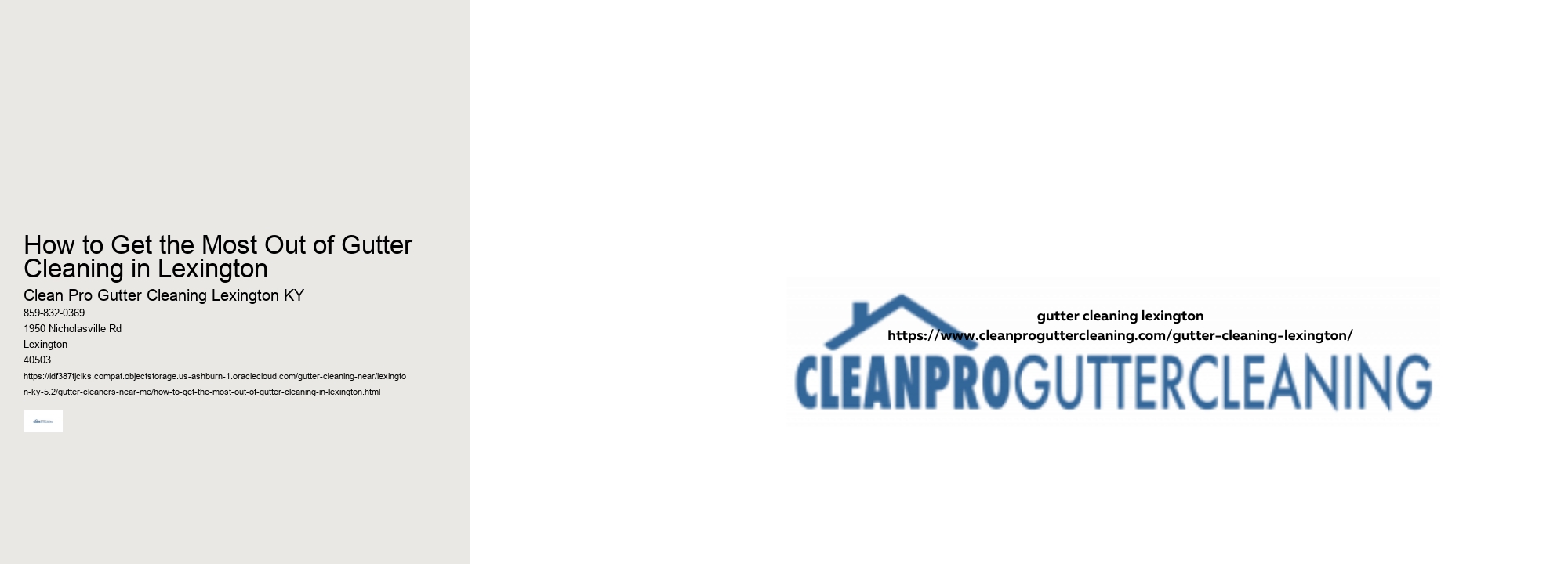 How to Get the Most Out of Gutter Cleaning in Lexington 