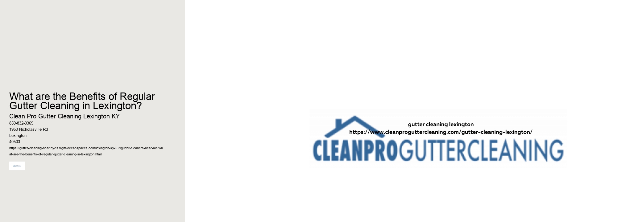 What are the Benefits of Regular Gutter Cleaning in Lexington? 