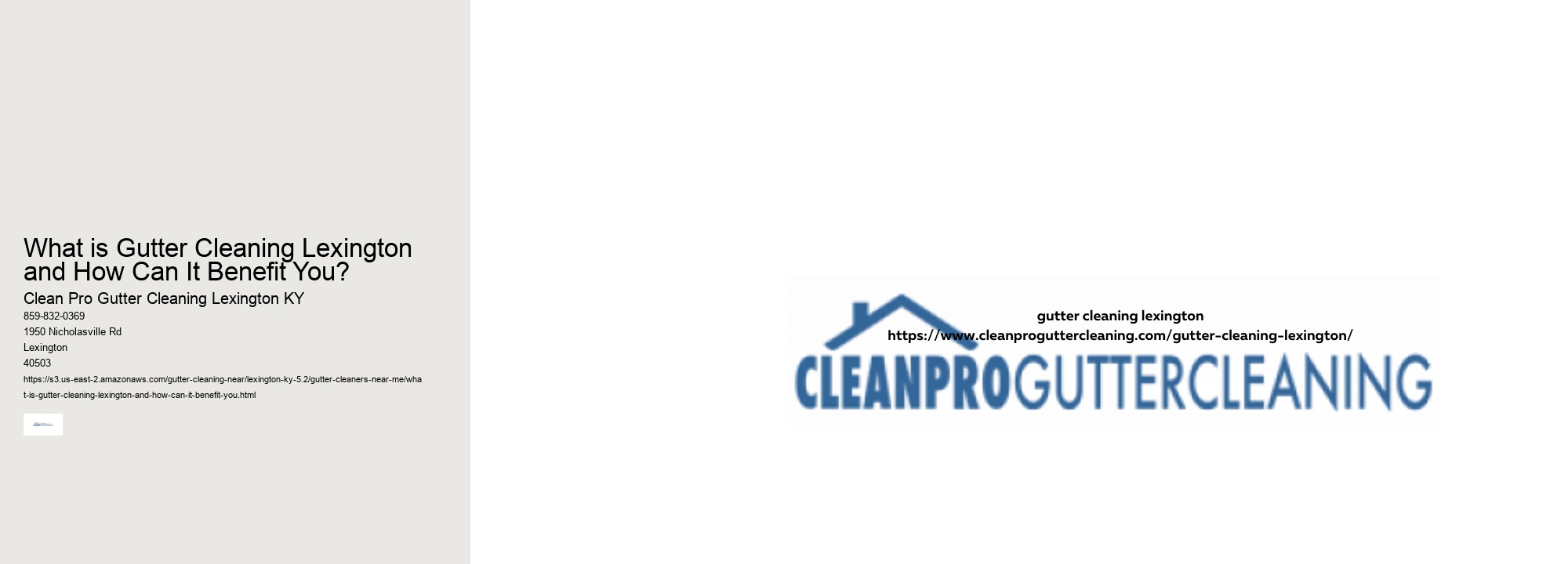 What is Gutter Cleaning Lexington and How Can It Benefit You? 