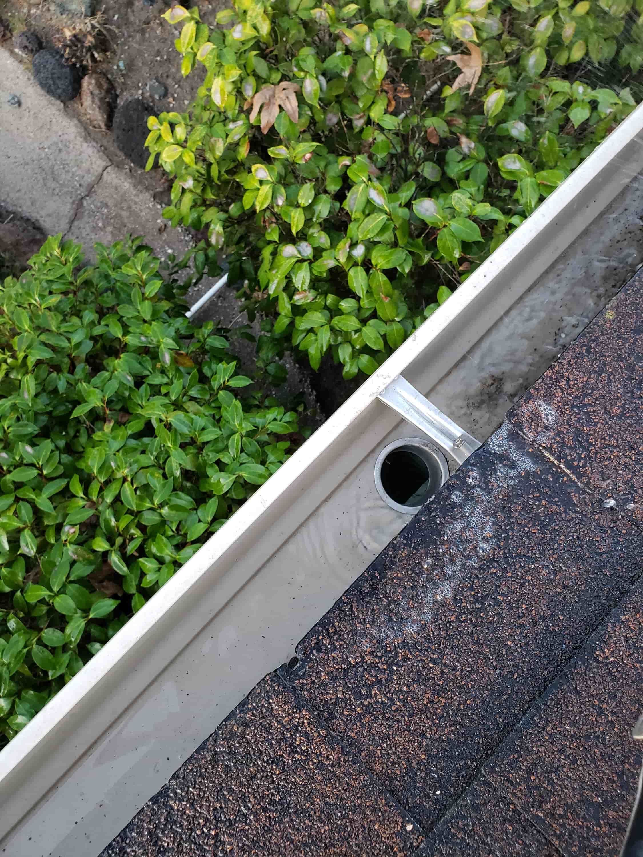 leaf vacuum hose near me