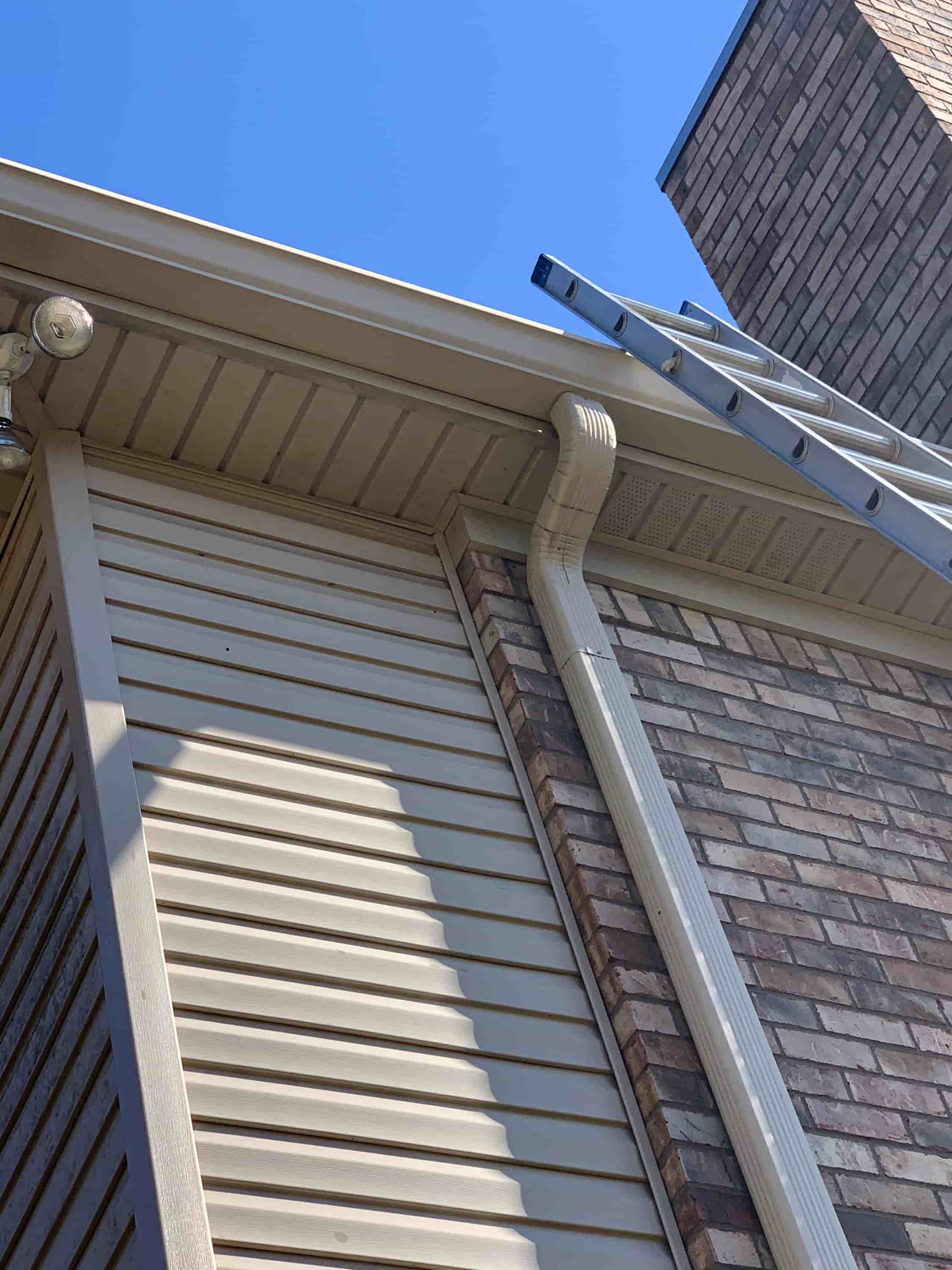 leaves in the gutter