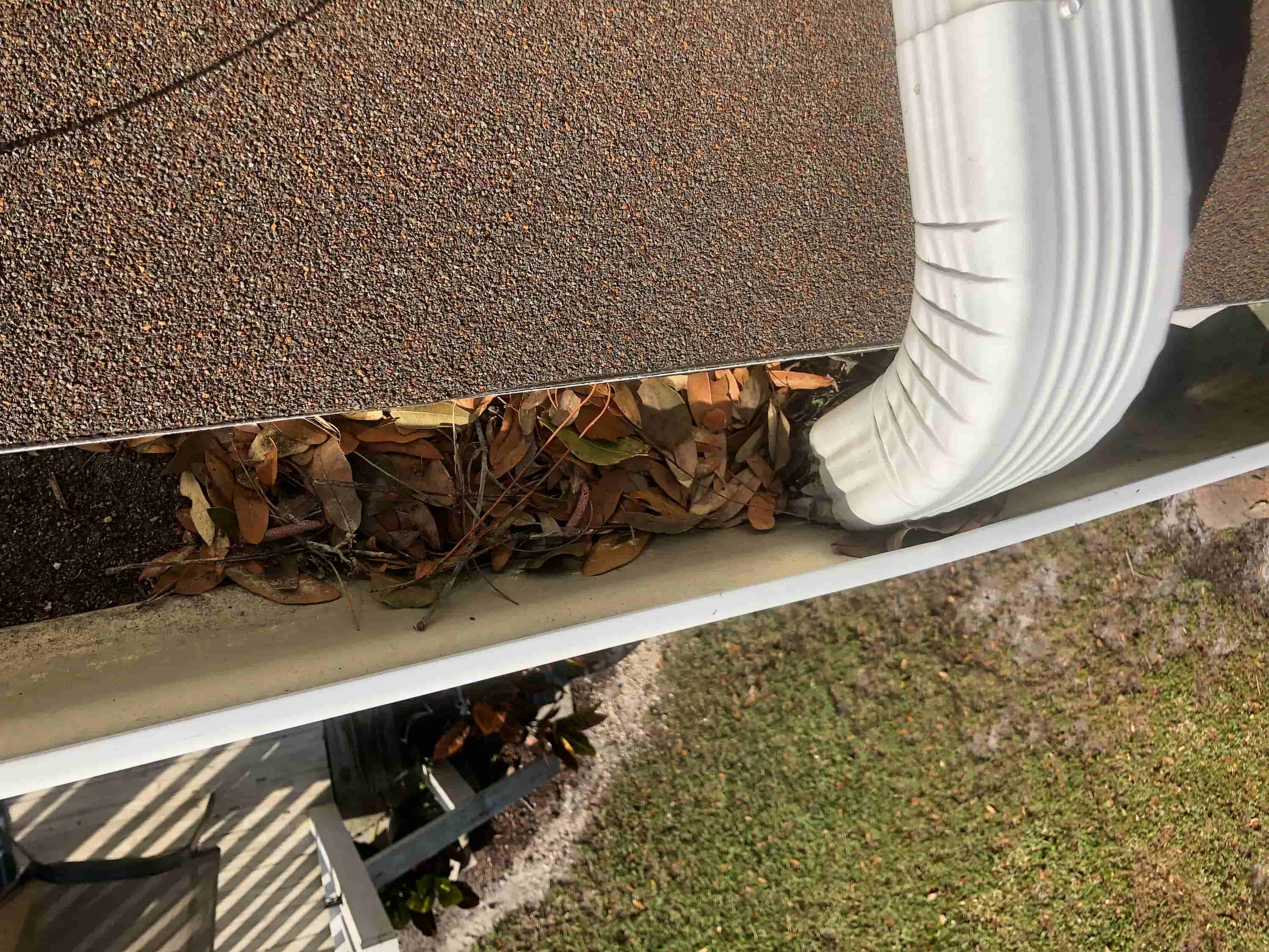 gutter cleaning services adelaide