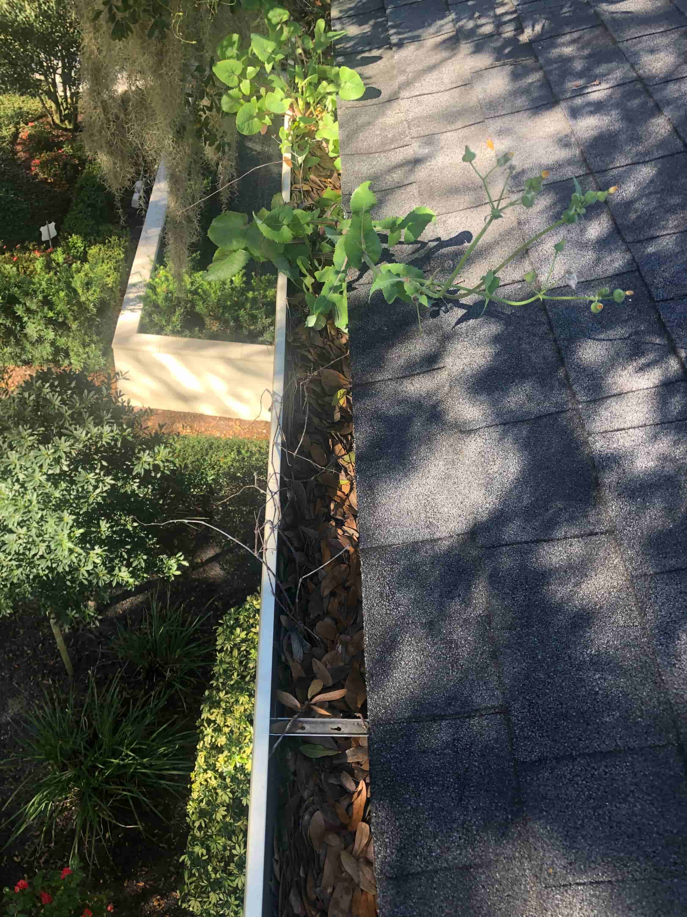 placing ladder against gutter