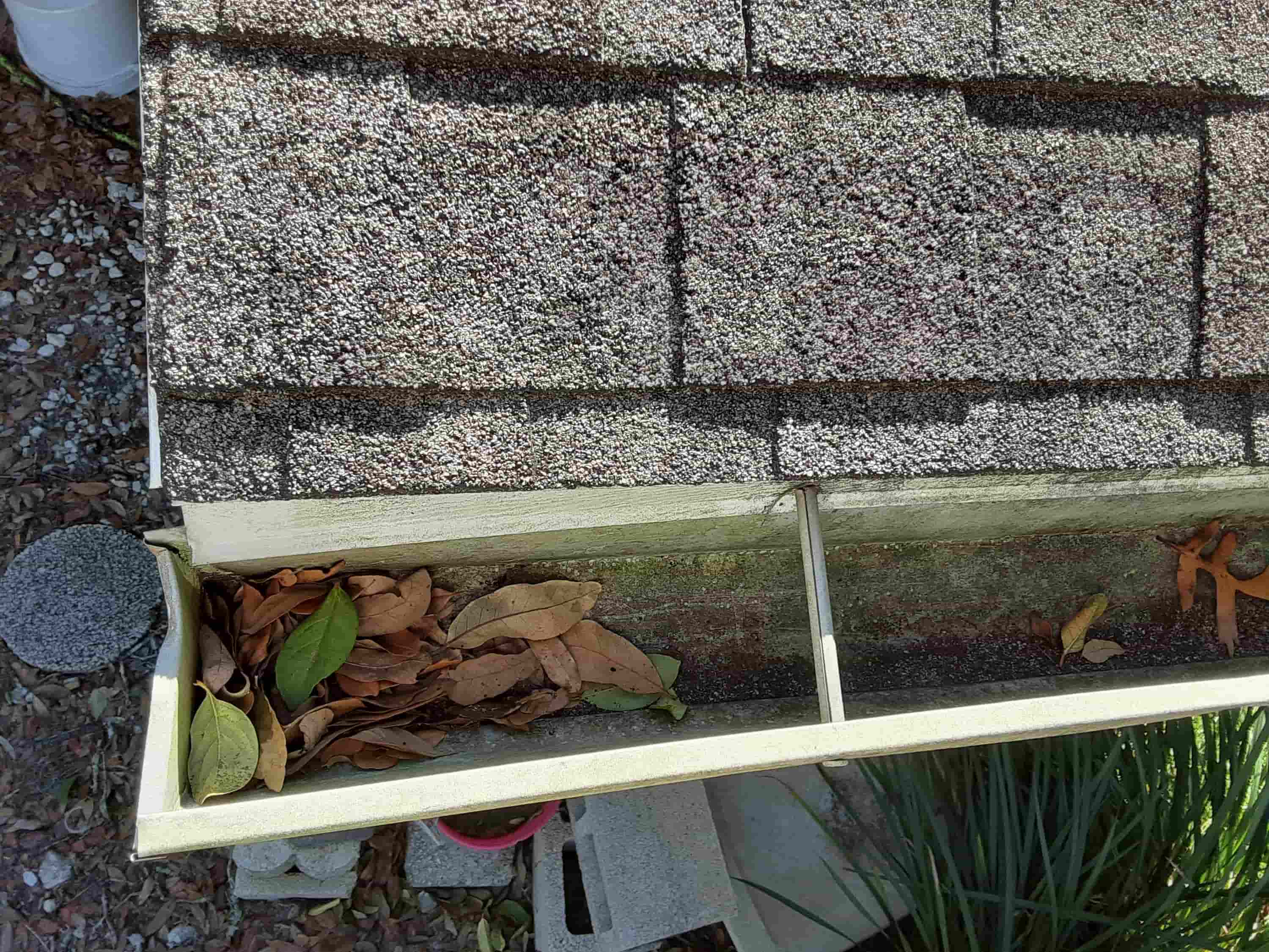 rain gutter cleaning service