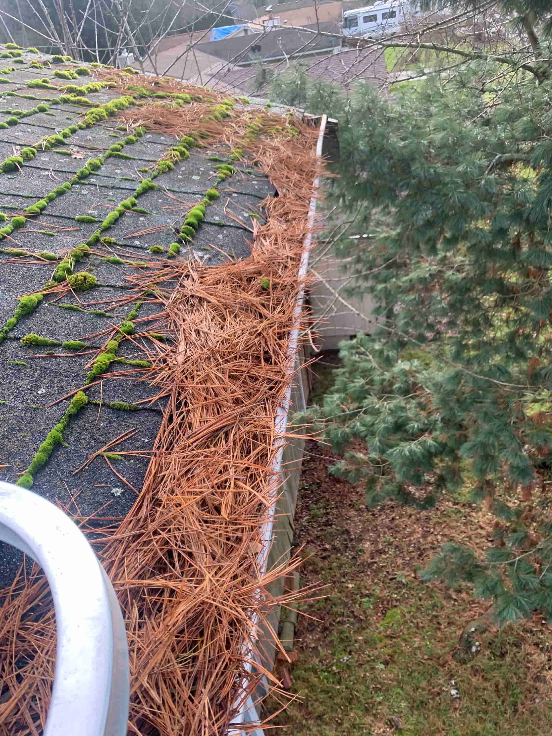 leaf vacuum hose near me