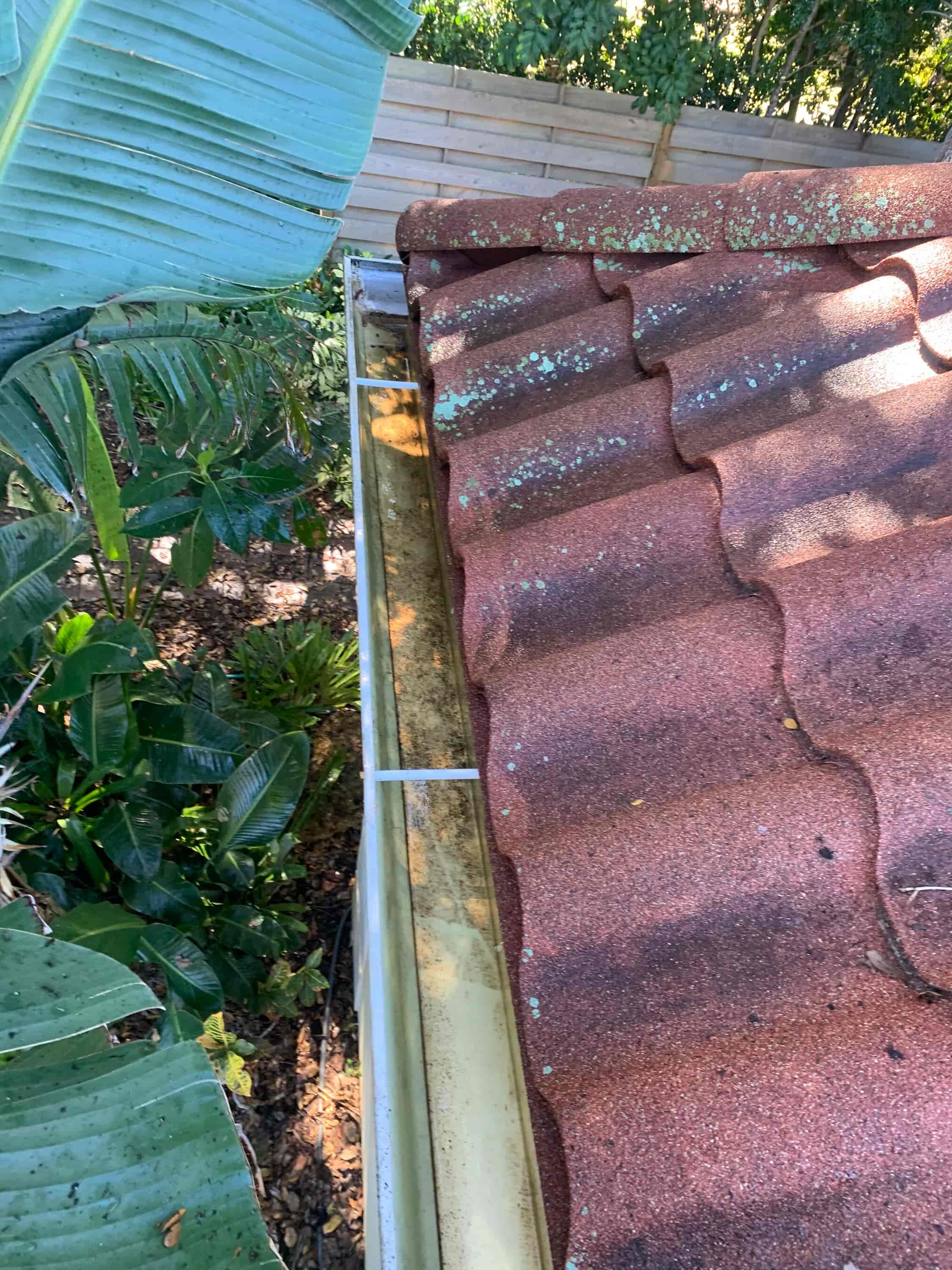 need someone to clean my gutters