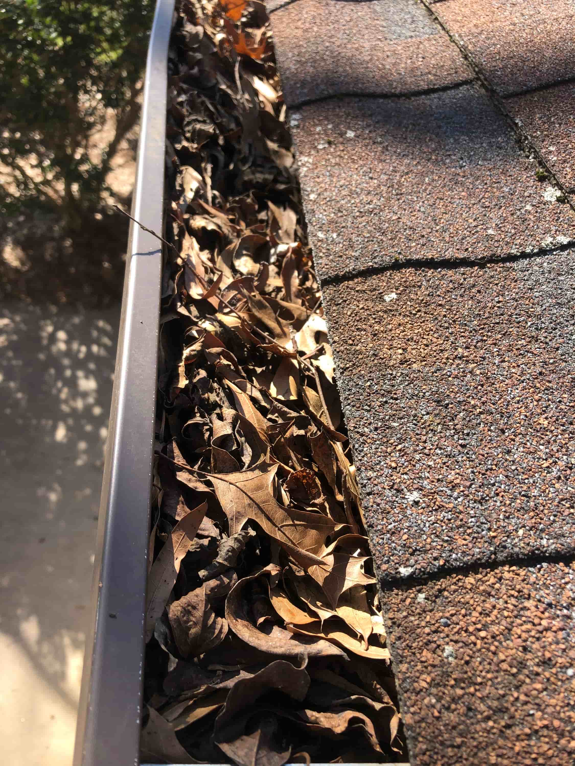 when should you clean your gutters