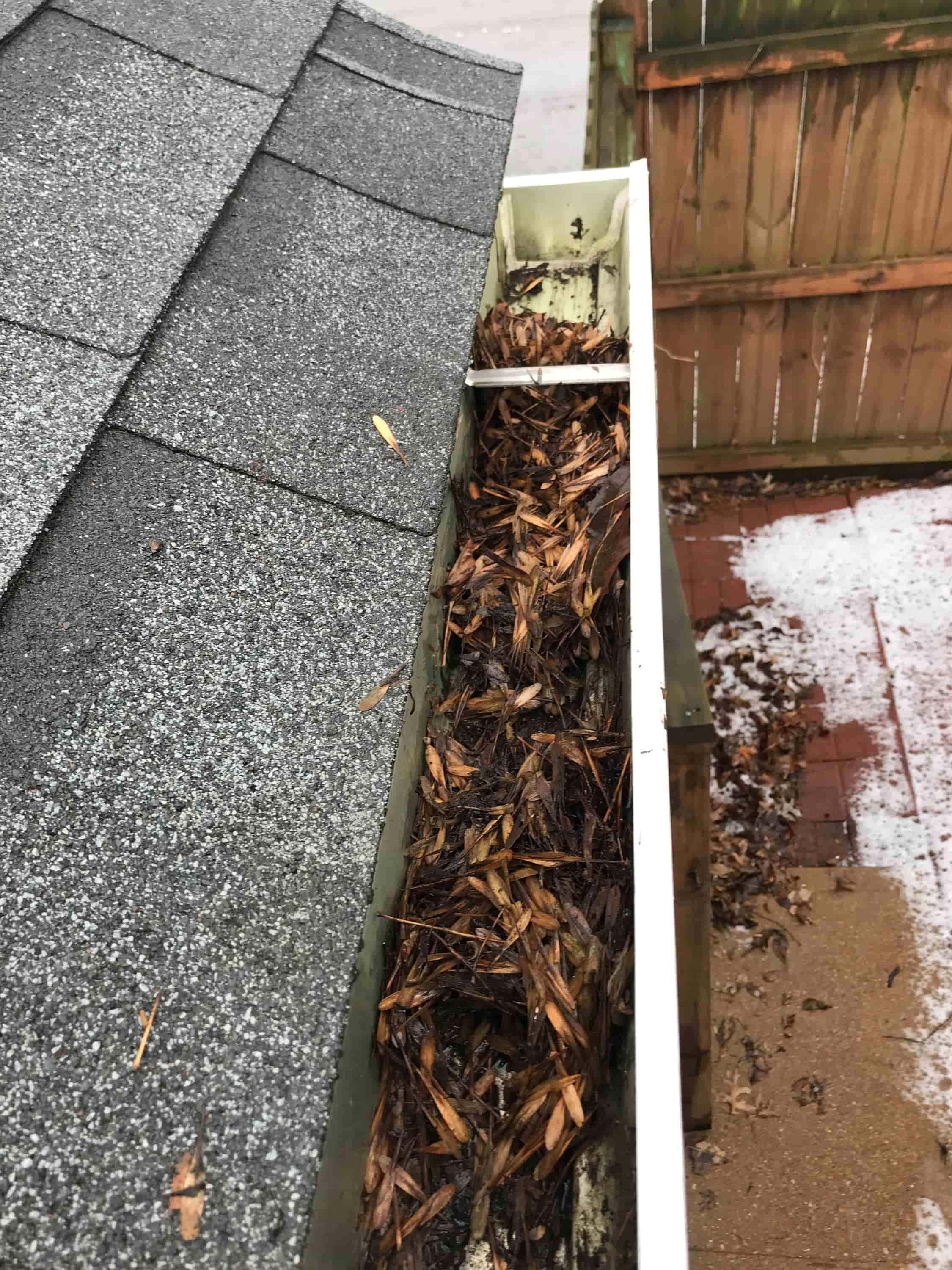 roof and gutter cleaning services