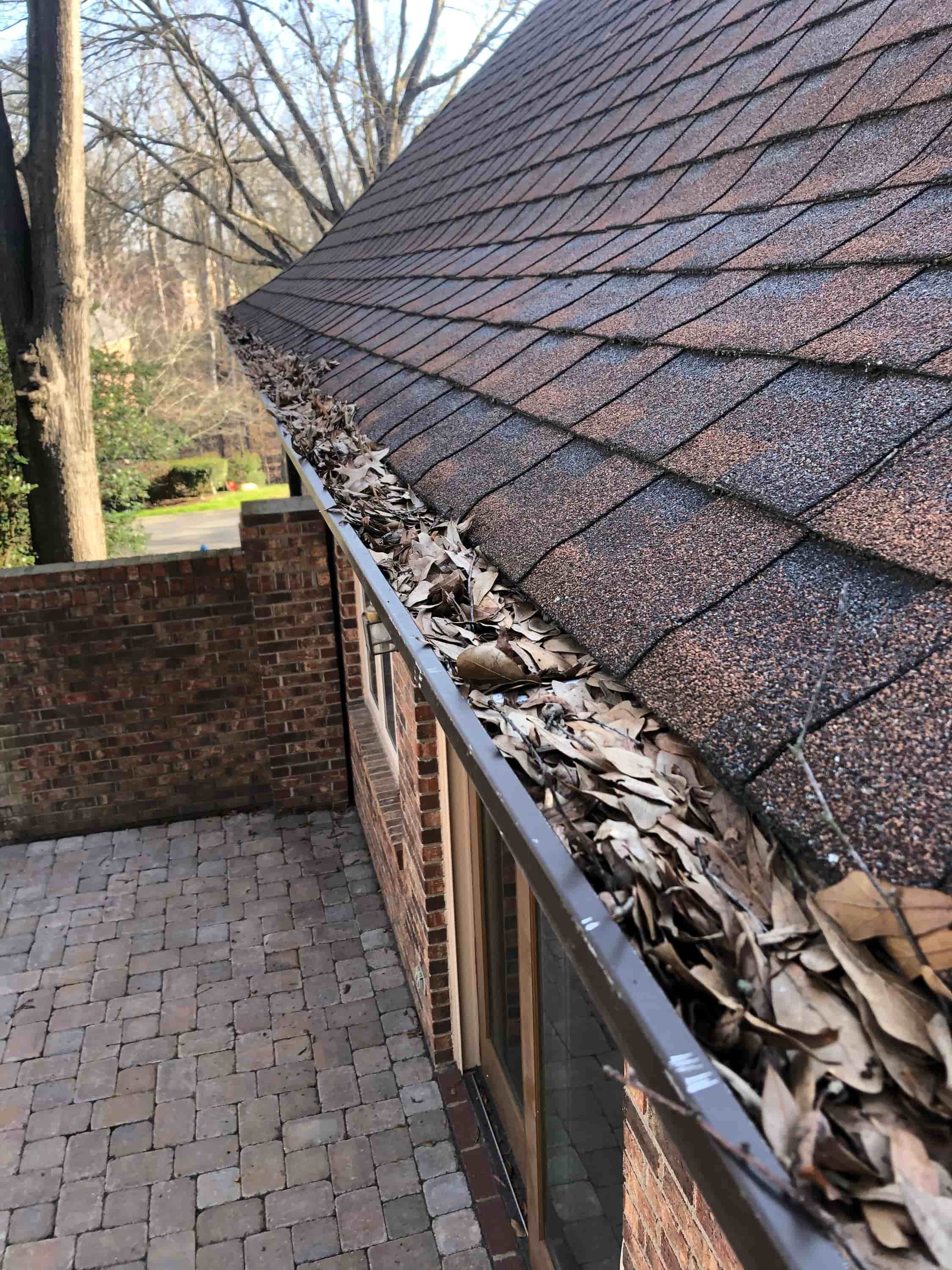 gutter cleaning ladder