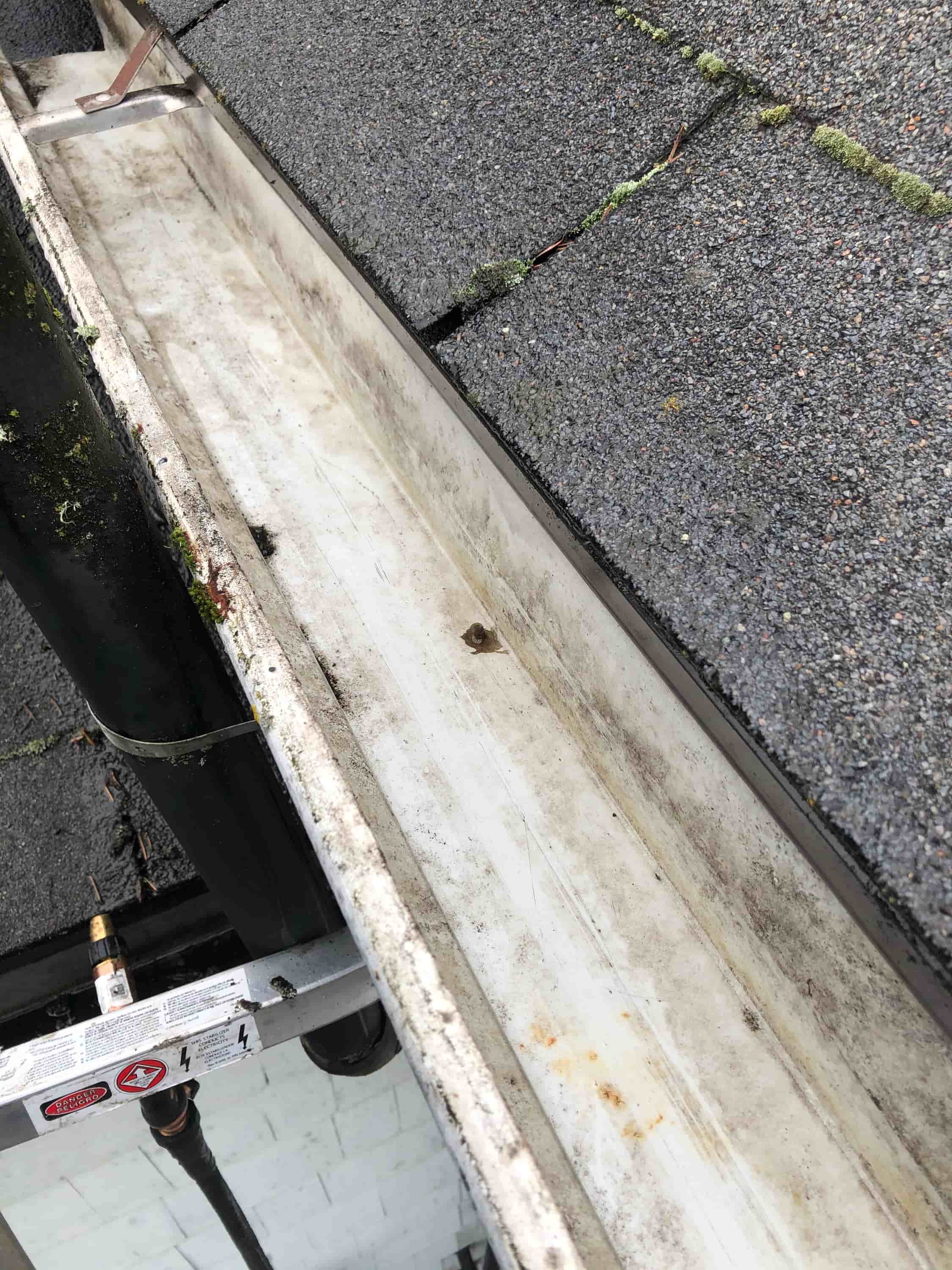 clean gutter drain pipes