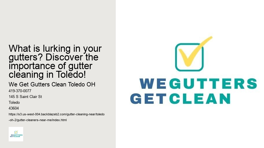 What is lurking in your gutters? Discover the importance of gutter cleaning in Toledo!