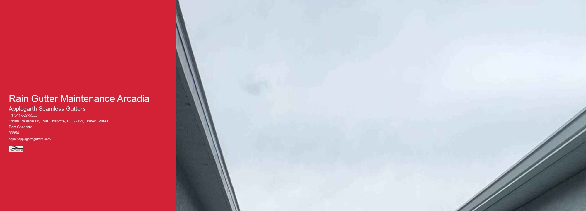 Rain Gutter Maintenance Arcadia