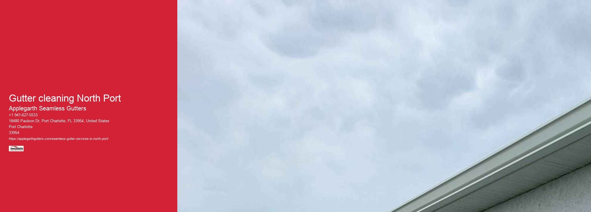 Gutter cleaning North Port