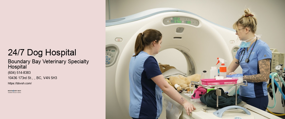 Urgent Care Pet Doctor 24/7 Dog Hospital Surrey