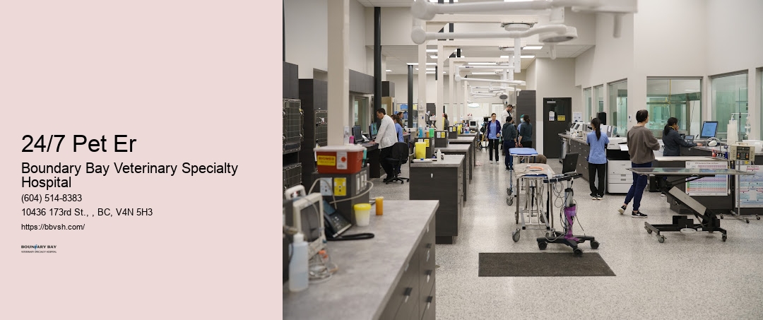 24-Hour Animal Doctor 24/7 Pet Er Surrey