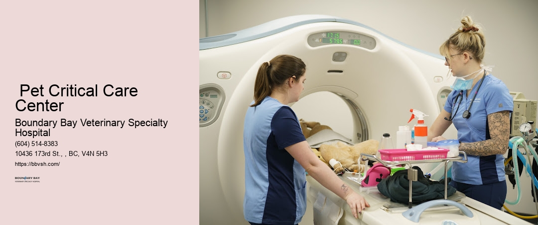 24/7 Pet Hospital Surrey Pet Critical Care Center