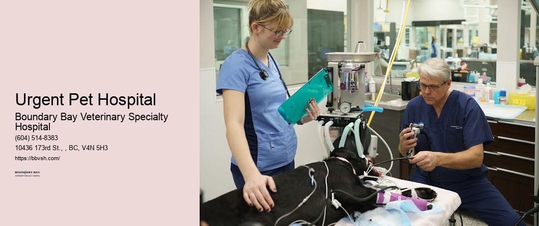 Pet Life-Threatening Emergency Urgent Pet Hospital Surrey