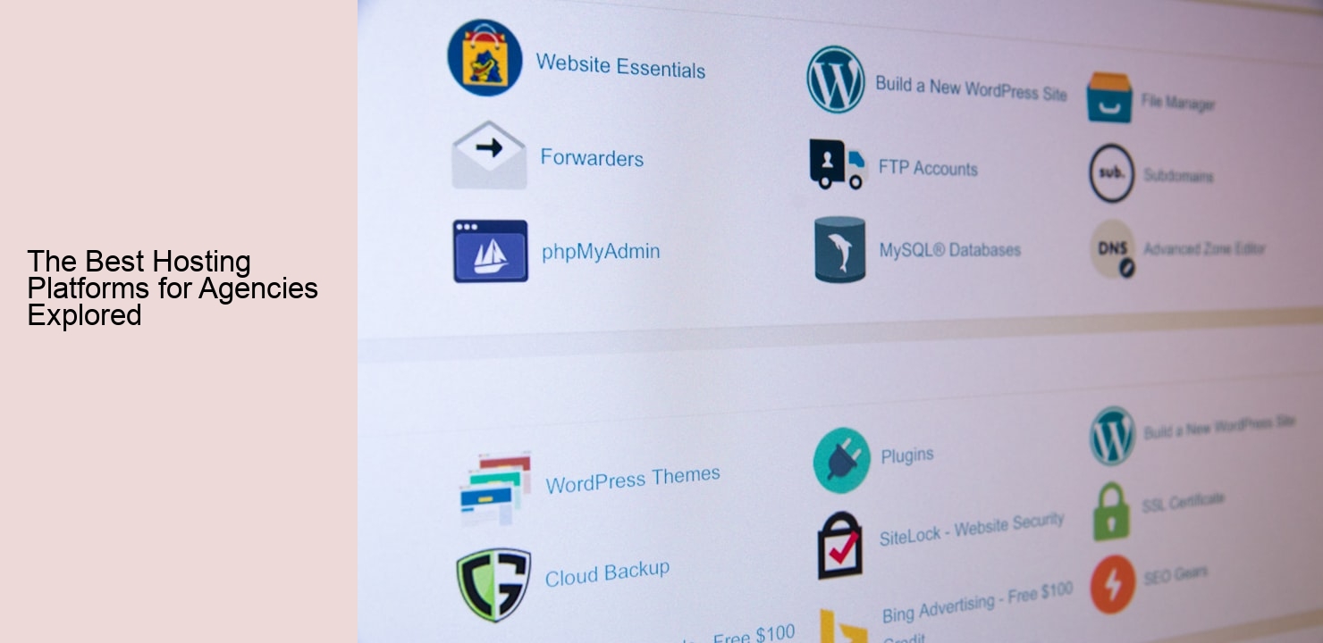 The Best Hosting Platforms for Agencies Explored The Best Hosting Platforms for Agencies Explored