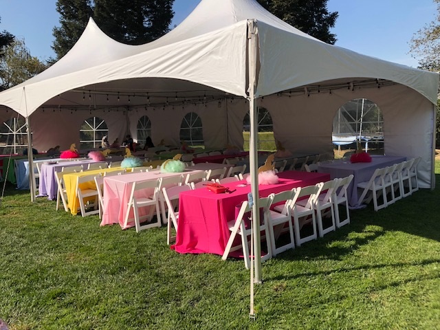 Professional Event Rentals San Jose CA