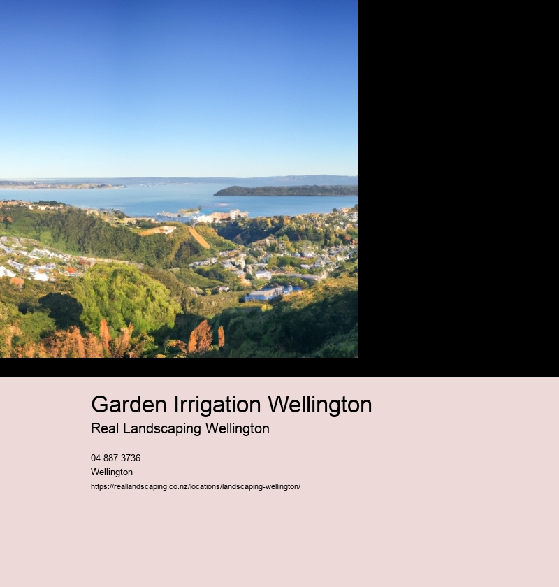 Understanding the Climate and Soil Conditions in Wellington