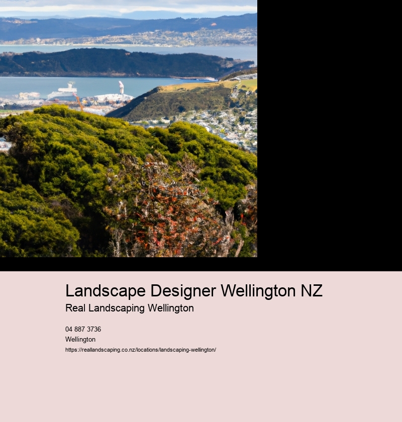 Understanding the Wellington Climate and Its Impact on Garden Planning