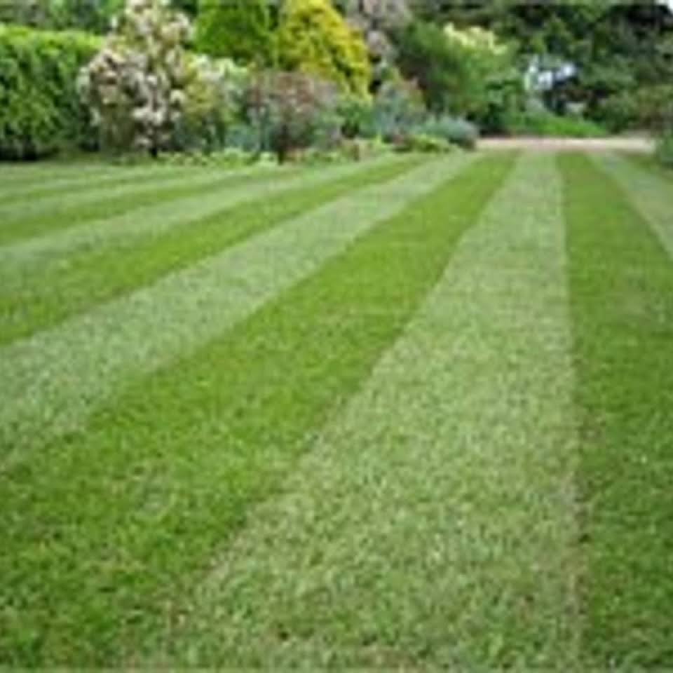 Leeds Tree Service Llc Tulsa Ok