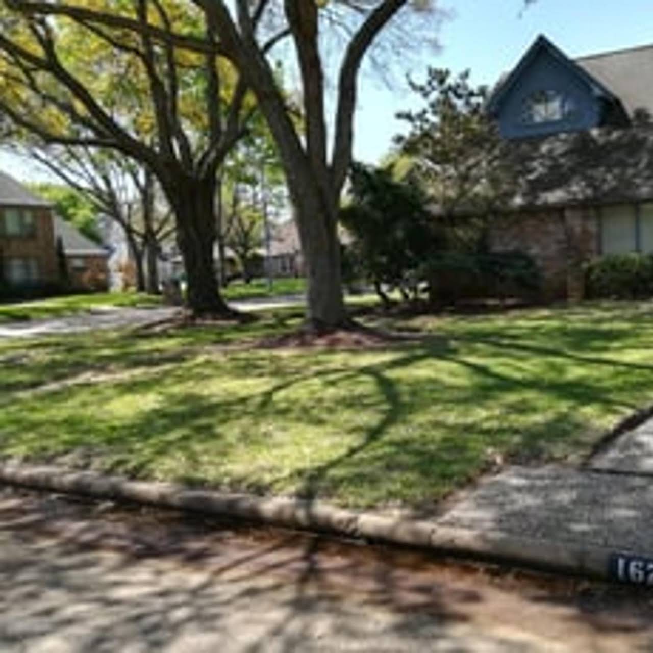 Leeds Tree Service Llc David