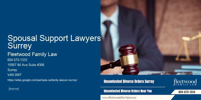 Spousal Support Lawyers Surrey