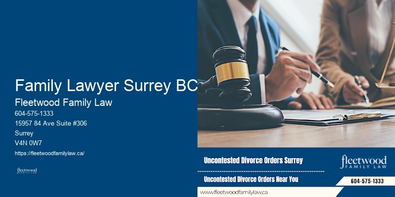 Family Lawyer Family Lawyer Surrey BC Legal Support