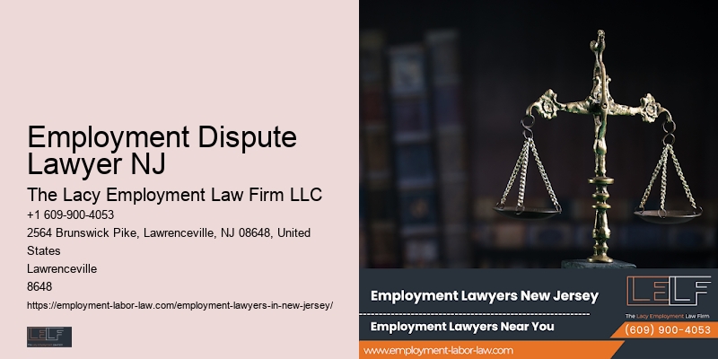 Top Employment Lawyer New Jersery
