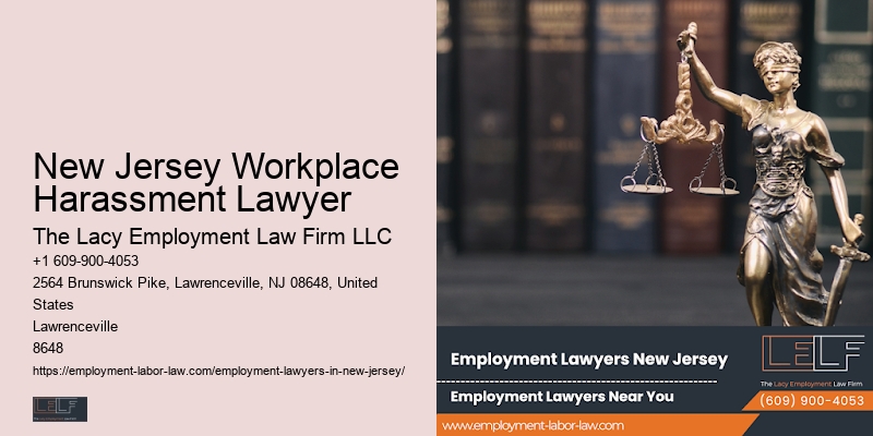 Employment Lawyers