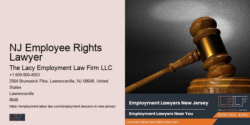 New Jersery Employment Rights Lawyer