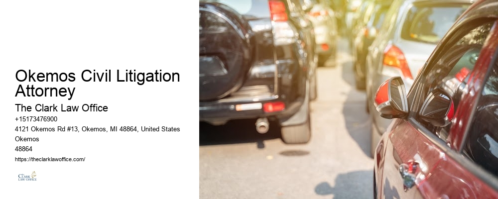 Okemos Civil Litigation Attorney