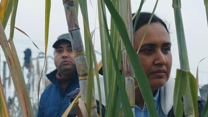 Historias del buen valle
