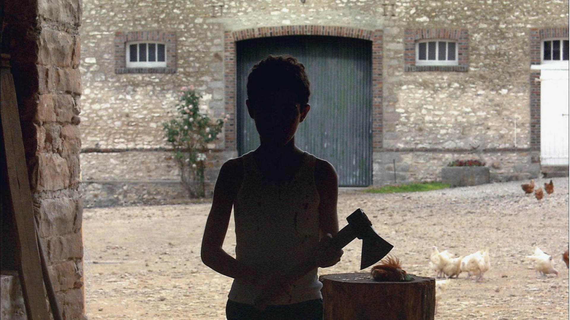 Caché, de Michael Haneke / Suely Rolnik
