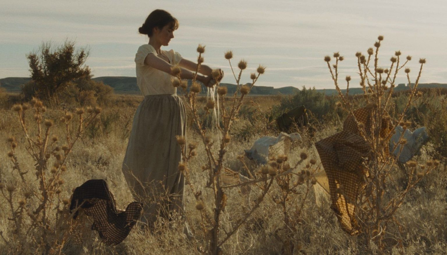 Kelly Reichardt - Meek's Cutoff