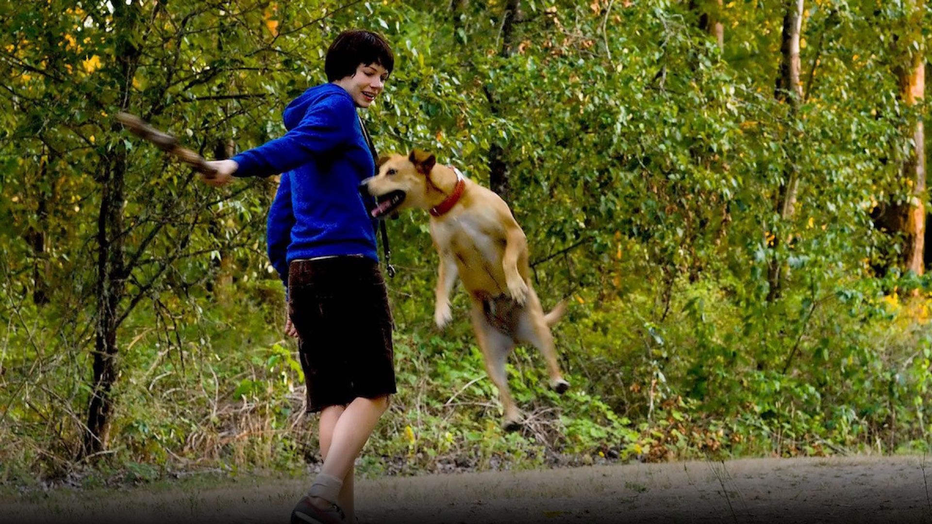 Kelly Reichardt - Wendy y Lucy