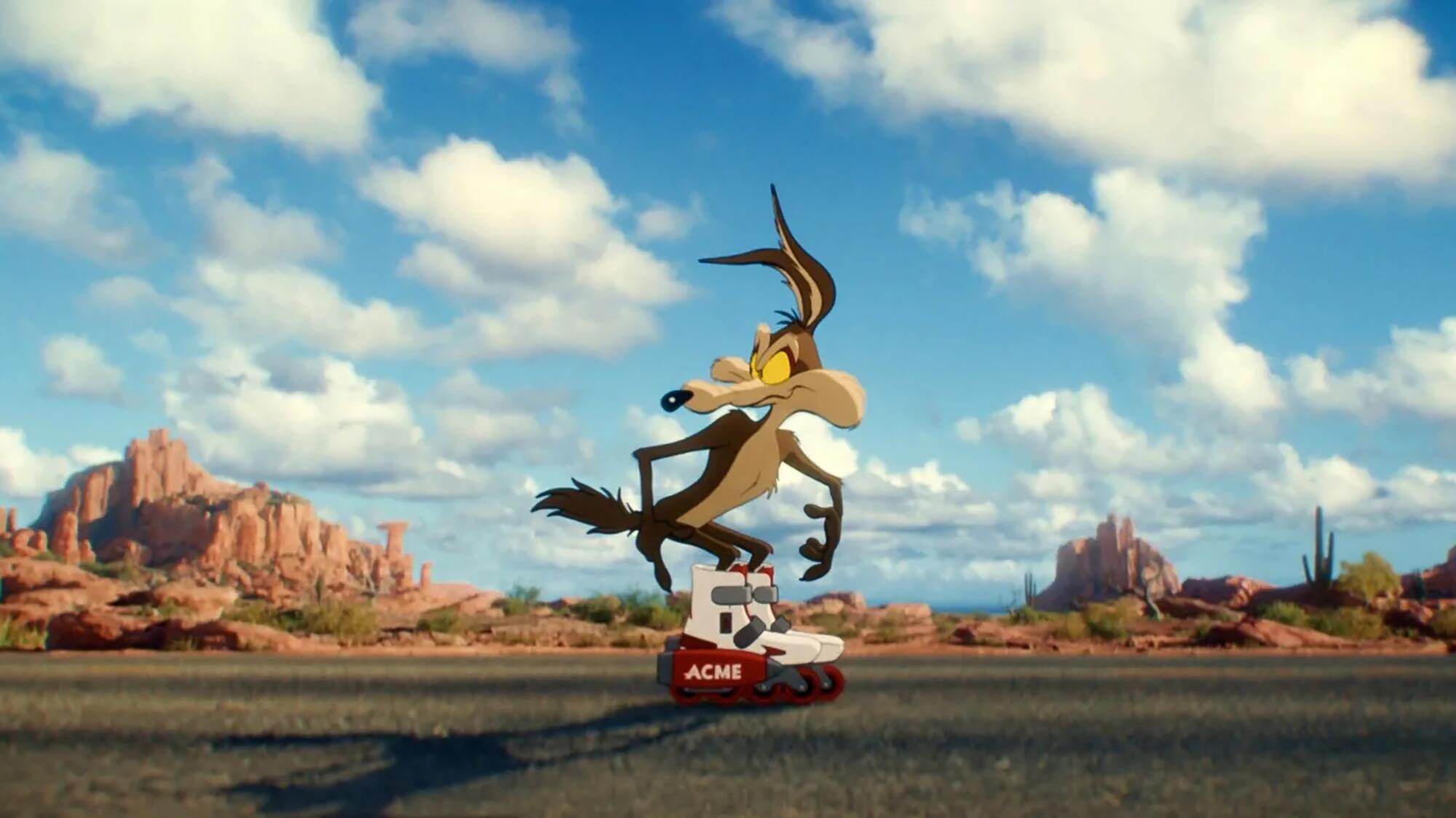 Coyote vs. Acme