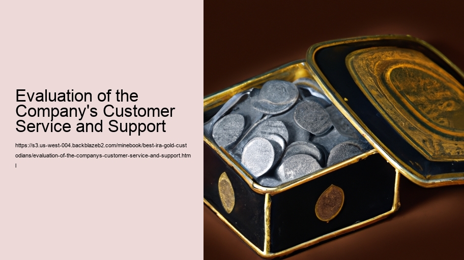 Evaluation of the Company's Customer Service and Support 