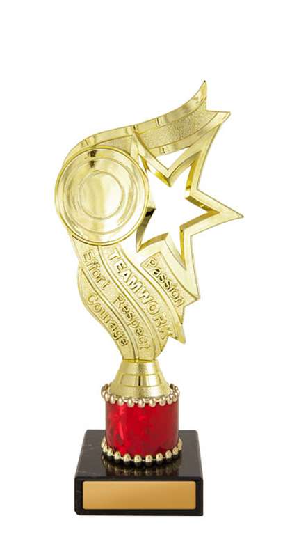 Star Holder