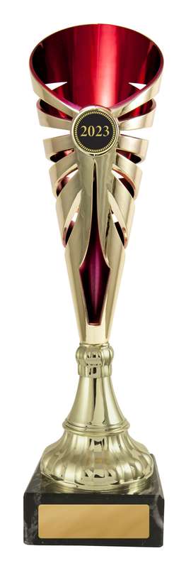 Aura Cup