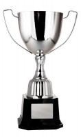 Victory Cup
