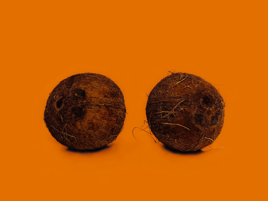 sprouted coconut inside