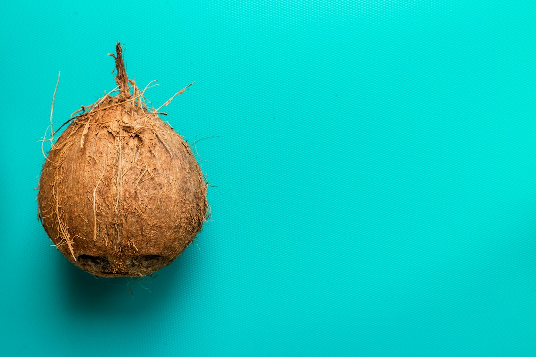germinated coconut meat