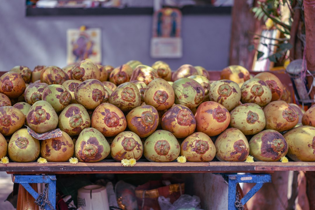 sprouted coconut core