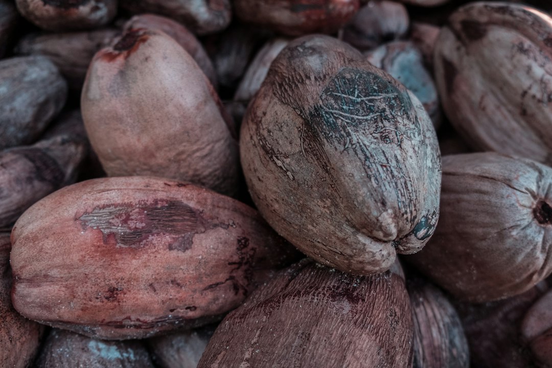 buy sprouted coconut online