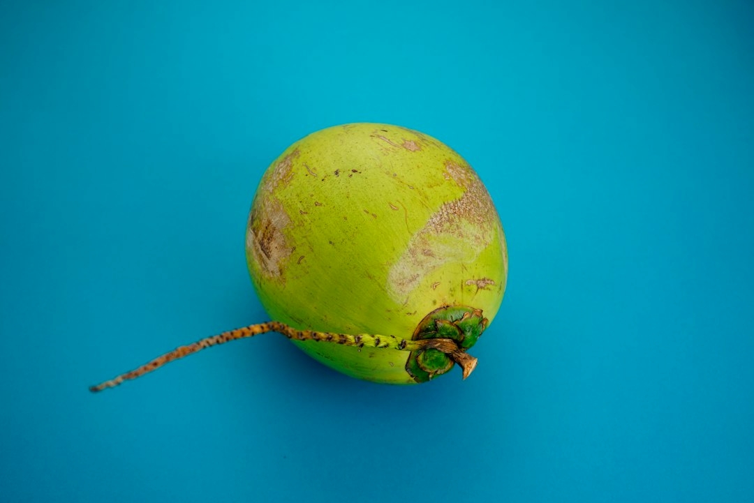 sprouted coconut seed