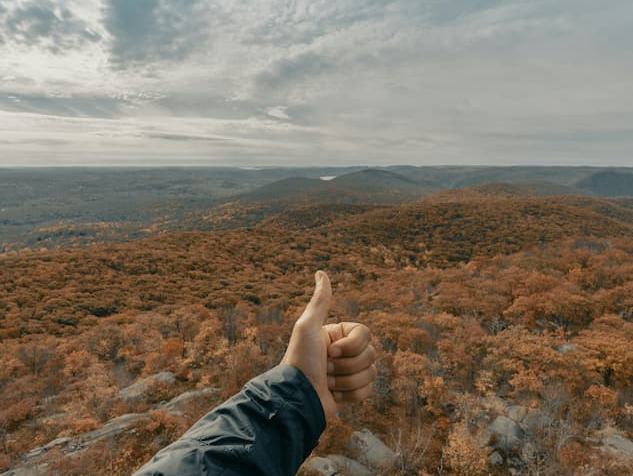 thumbs up eligible for paid ai research study with participantOS